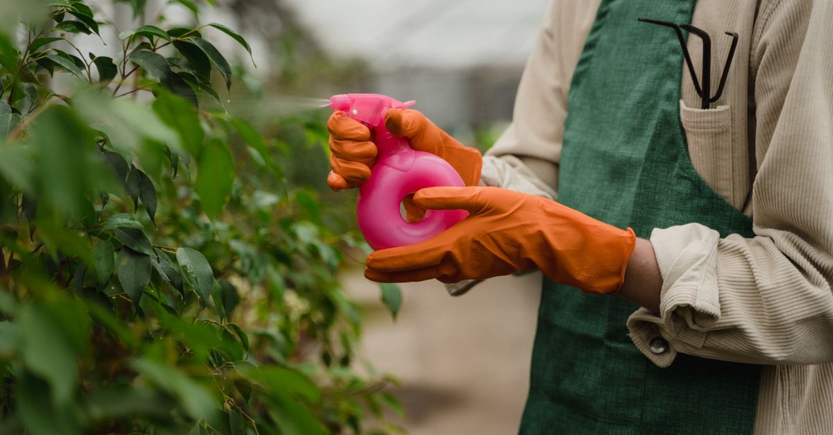 Fungicide (Reagent) — wholesale Chemicals