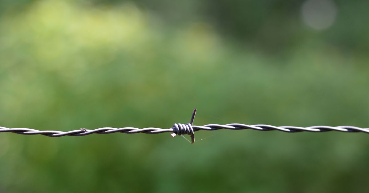 Barbed Wire (Sheet) — wholesale Base Metals