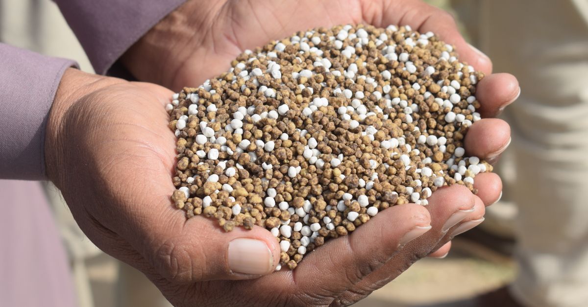 Superphosphate (TSP) 99.9% — wholesale Chemicals