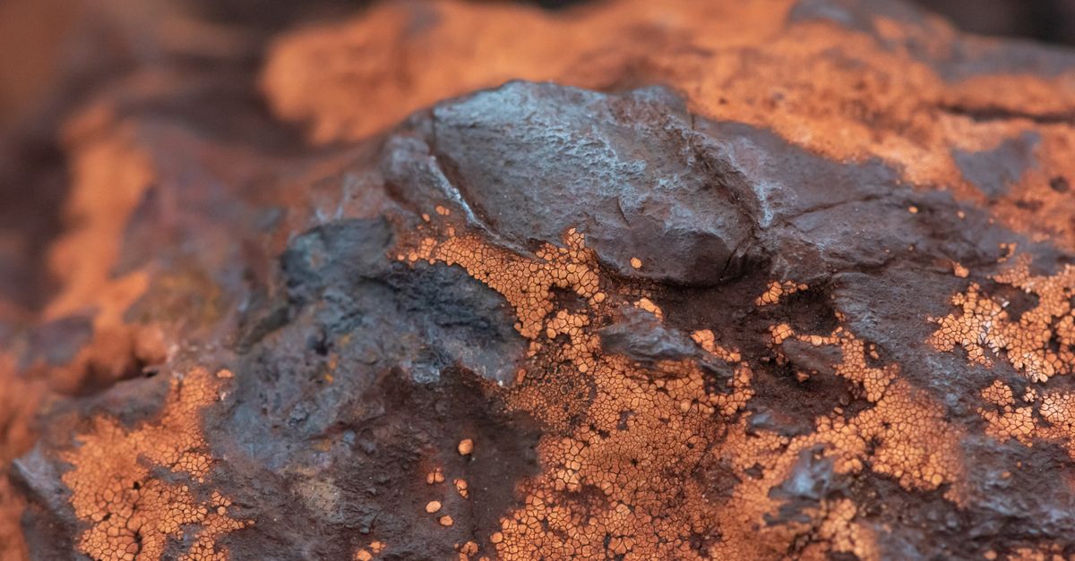 Iron Ore (Powder) — wholesale Minerals