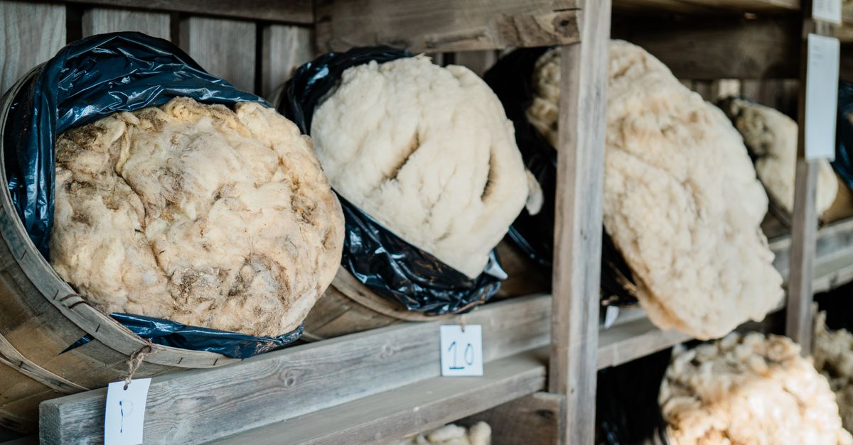 Greasy Wool — wholesale Textiles